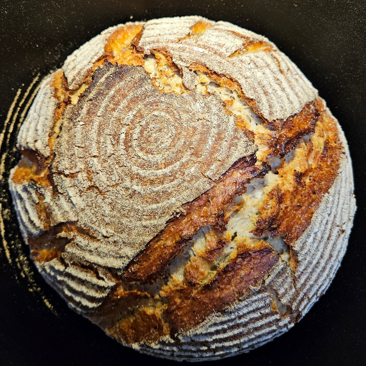 Malzbier-Kruste